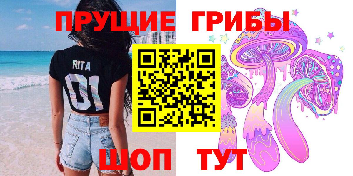 Псилоцибиновые грибы Psilocybine cubensis Краснокамск