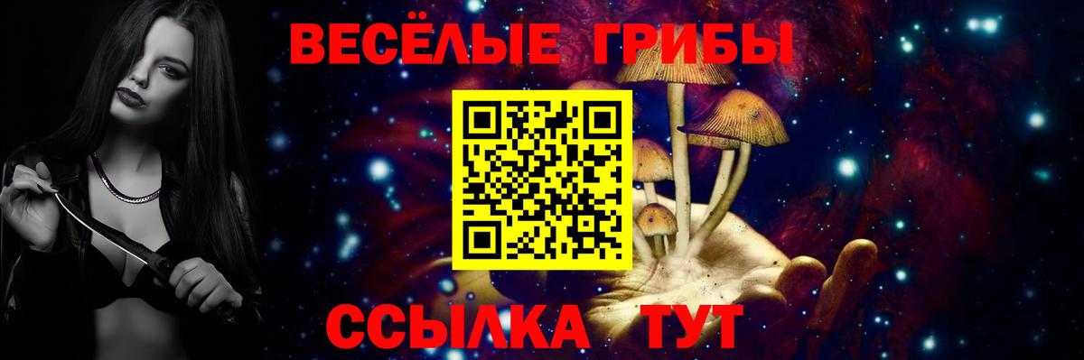Краснокамск  купить наркоту  Псилоцибиновые грибы мицелий  Вход с VPN  Псилоцибиновые грибы Psilocybine cubensis 